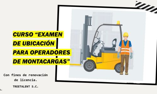Miniatura del curso